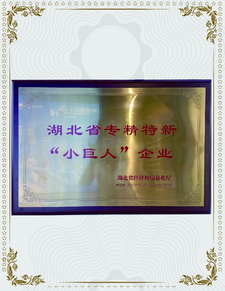 e 榮獲湖北省專精特新小巨人企業(yè)稱號